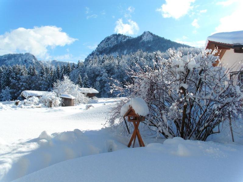 Ferienwohnungen Lackner - Chiemgau Karte Инцелль Экстерьер фото